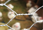 A rede de aço inoxidável das aves domésticas da rede de arame do metal da galinha de 304 20 GA encanta o furo 3/4&quot;