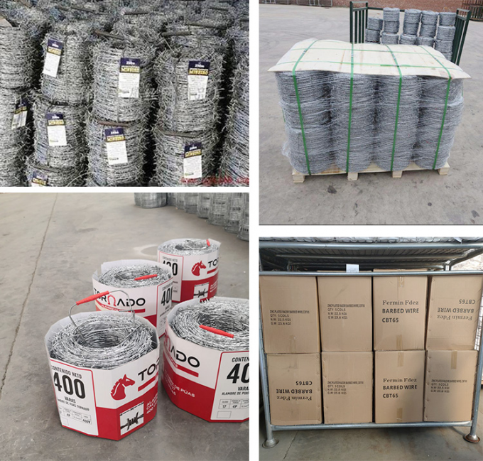 Preço baixo Concertina galvanizado a quente 3