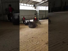 Esferas de raiz anuais pretas Cadeira de arame para árvores ou plantas Transportes de raízes