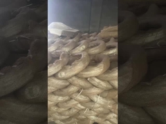 3.0mm Pvc Electro galvanizado fio tipo U cortar gravata