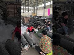 Grelha de arame metálico verde de 20 Ga Decorativa Rede de arame hexagonal revestida de PVC