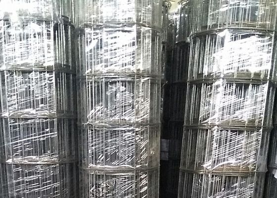 o preto de abertura do diâmetro de fio 15cm de 3mm soldou a rede de arame para o sul - mercado americano