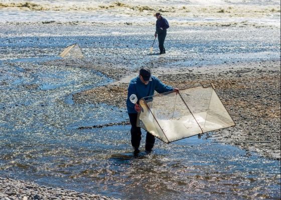 Malha de liga 10meshx10mesh para reparo de redes de peixe branco ou fabricação de telas