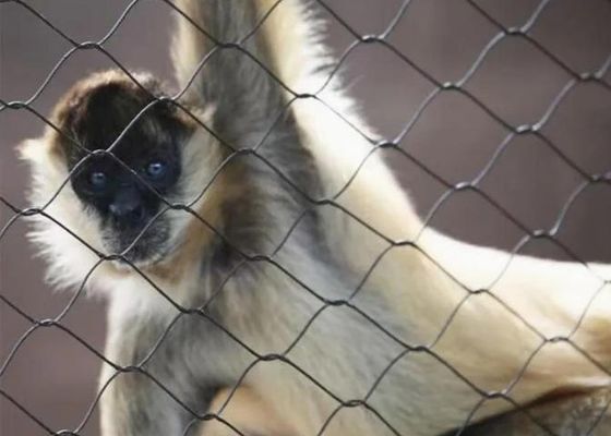 Malha de cabo de aço inoxidável Ss 304 Ss 316 Malha de cabo de aço inoxidável com virola para venda