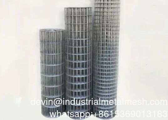 Rede de fios de ferro de tecido quadrado Galvanizado Rede de fios de aço de tecido Rede de aves de capoeira Rede de fios de aço soldados
