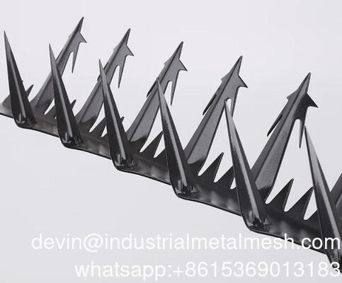 Grande Tamanho 5m Pomba de pássaro Cercas de parede de aço inoxidável Spikes Spikes de parede