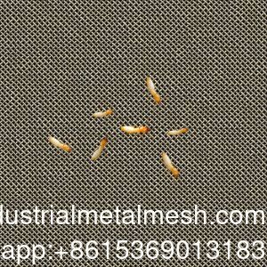 Tela de Malha Tecida de Aço Inoxidável Anti-cupim AISI 304 316 316L