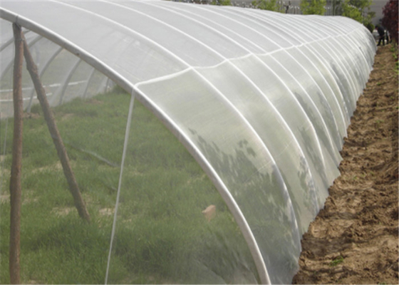 2x30m Resistente a UV Anti-Insecto Mosca Muralha de Muralha de Crescimento Vegetal Rede Branca