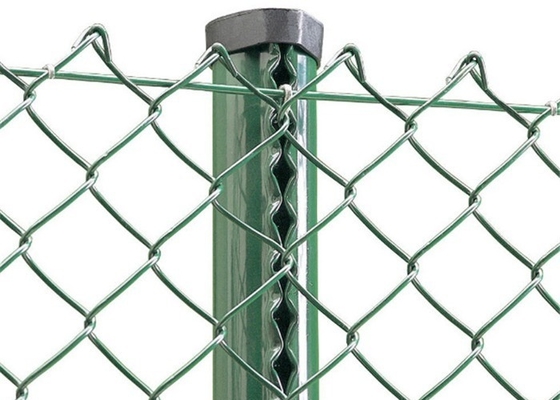 O PVC galvanizado revestiu o rolo de Diamond Mesh Wire Chain Link Fence