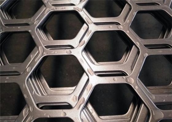 Placas metálicas hexagonais perfuradas de aço inoxidável duplex de qualidade