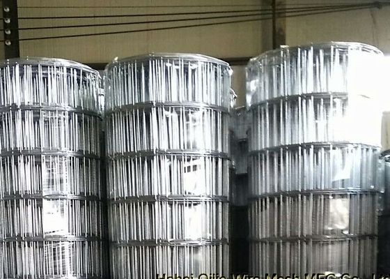 o preto de abertura do diâmetro de fio 15cm de 3mm soldou a rede de arame para o sul - mercado americano
