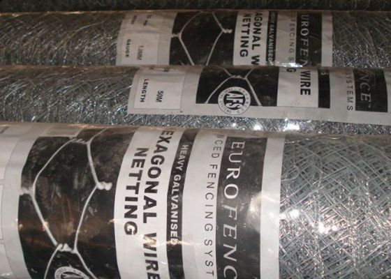 O Pvc galvanizou a rede de arame sextavada da galinha do diâmetro de 0.6mm abertura de 3/4 de polegada