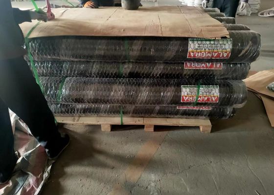 O Pvc galvanizou a rede de arame sextavada da galinha do diâmetro de 0.6mm abertura de 3/4 de polegada