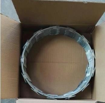 Cbt-65 aço inoxidável aço galvanizado revestido de PVC rede de arame farpado de segurança