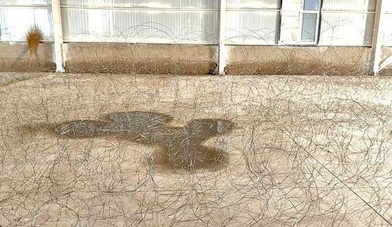 Obstáculos de aço imperceptíveis Putanka MZP com 10m de perímetro