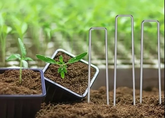Rede de insetos Fixação Peg Turf Fixação SOD Staples aço galvanizado prego jardim