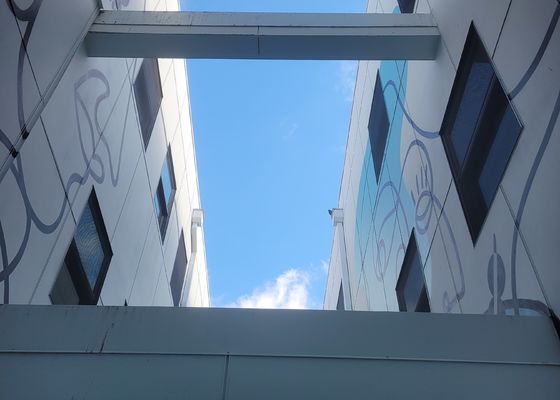 Corda de fio 316 de aço inoxidável Mesh For Protection And Safety da anti corrosão da balaustrada