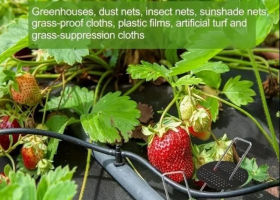 Galvanizado a quente tipo U Grama de jardim Grama de grama de grama de grampo Grama de grampo de grama de grampo 9 Gauge Diâmetro de fio