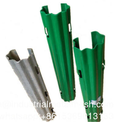 Estaca de metal galvanizado para vinha de fruta do dragão para pomar