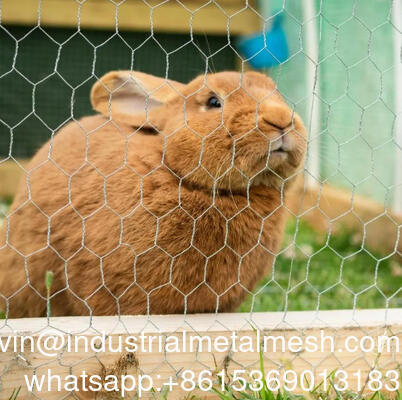 Malha de arame hexagonal com abertura de 4 polegadas usada para cerca de jardim
