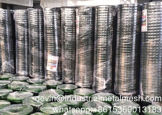 Malha Soldada Galvanizada a Quente/Aço Inoxidável/Arame Preto