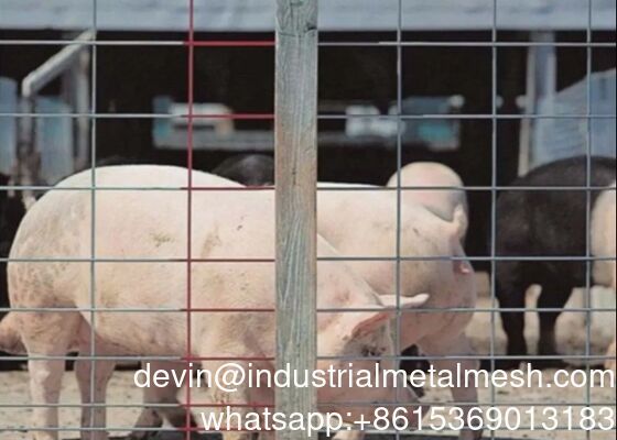 Painel de Suínos Galvanizado a Quente para Cercas de Gado e Bovinos