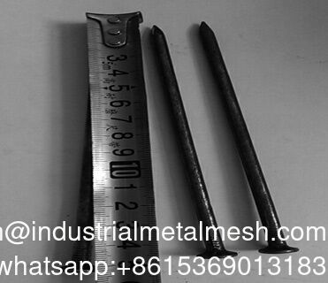 Electro Galvanizado Zinco Ferro Unhas 1'-6' Unhas de madeira Unhas de arame Unhas polidas Unhas comuns