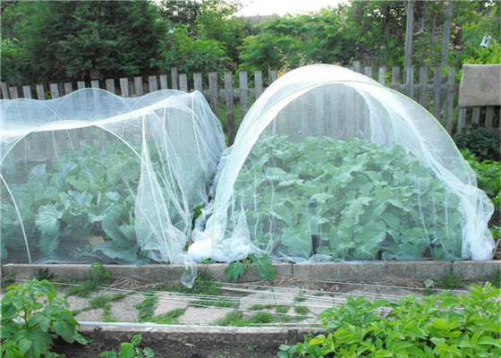 Horticultura Hdpe Mosca de tela de malha Agricultura Crescimento de Insecto Proof Network 40 Malha