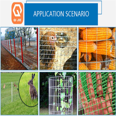 A gaiola de pássaro galvanizada soldada eletro soldou o fio Mesh Multifunctional do ferro