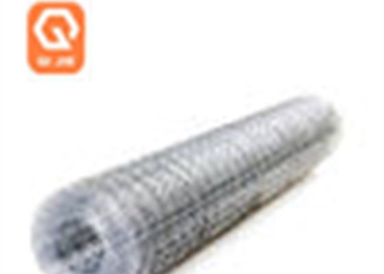 o eletro da abertura 2X2 galvanizou o fio soldado Mesh Grid