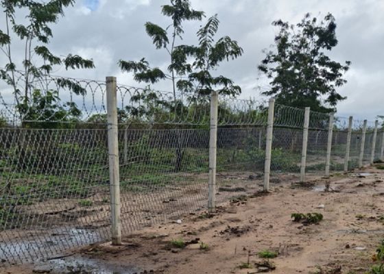 Arame farpado sanfona galvanizado mergulhado quente 960mm BTO-12 da lâmina