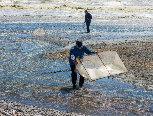 Malha de liga 10meshx10mesh para reparo de redes de peixe branco ou fabricação de telas