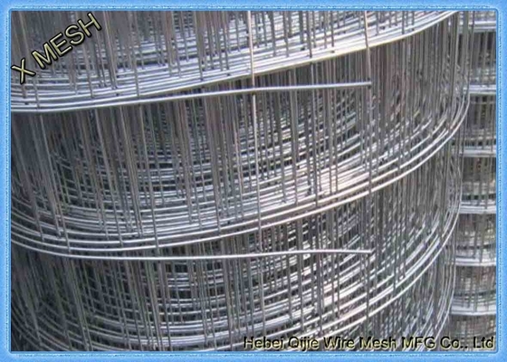 O MERGULHO quente/eletro galvanizado soldou a rede de arame 0.8mm * 1.5m alto para Afeganistão