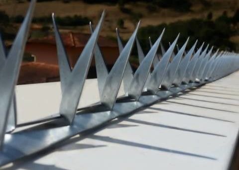 Cerca Wall Spikes de Barb L64mm Barb Thickness 0.8mm